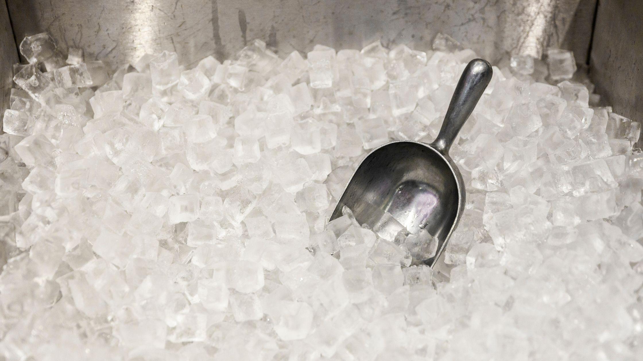 Best Commercial Ice Makers