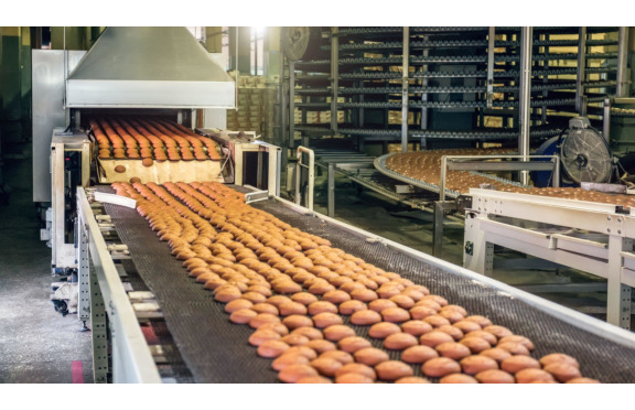 What is a Conveyor Oven: Definition, Features, Types, Uses & Advantages