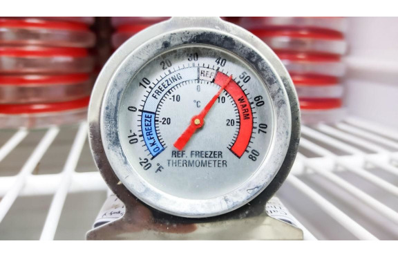 Commercial Refrigerator Temperature