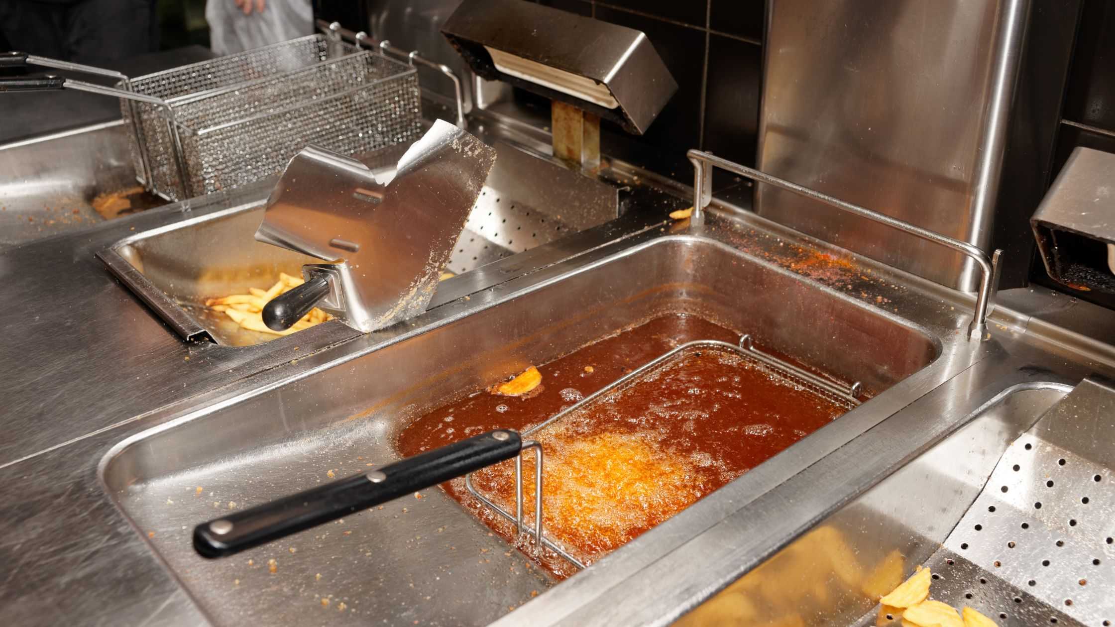 What Is A Commercial Deep Fryer: How To Choose The Best One