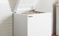 Chest Freezers
