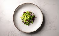 Stoneware Dinnerware