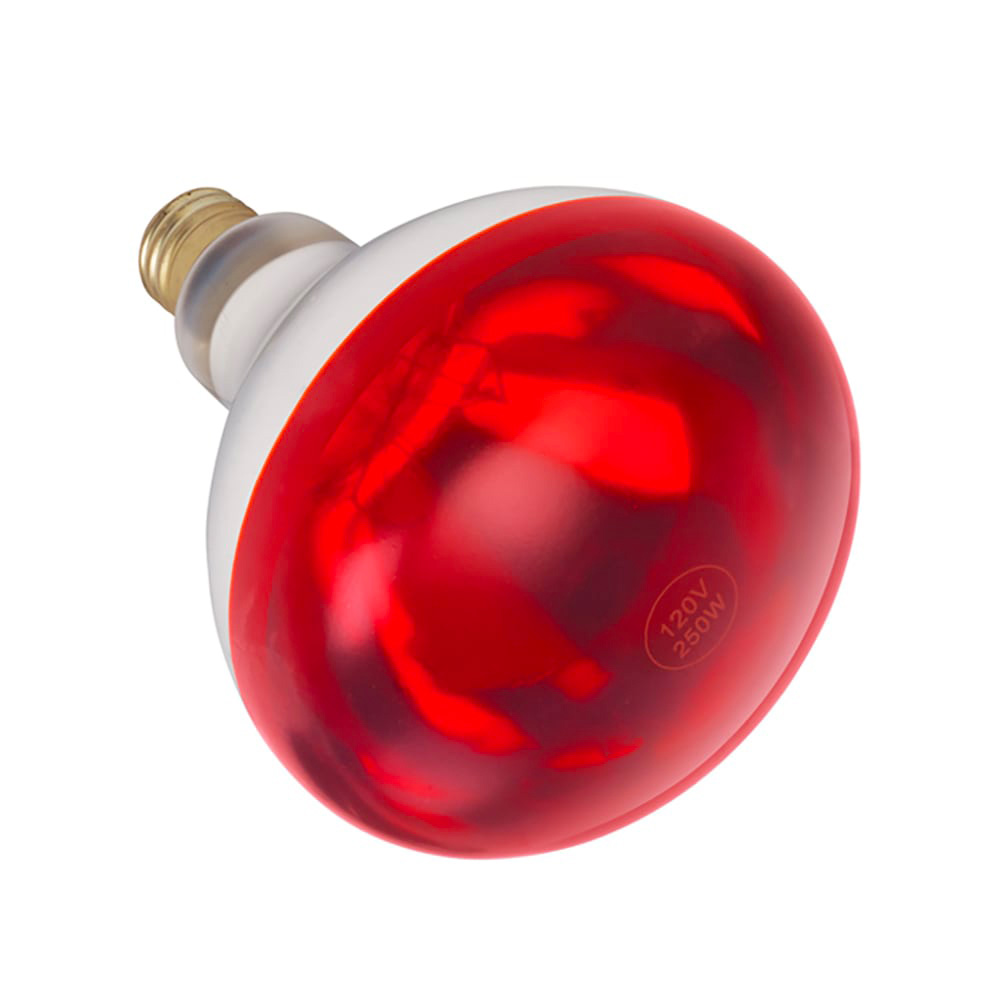 Winco EHL-BR 250 Watt Red Replacement Heat Lamp Bulb